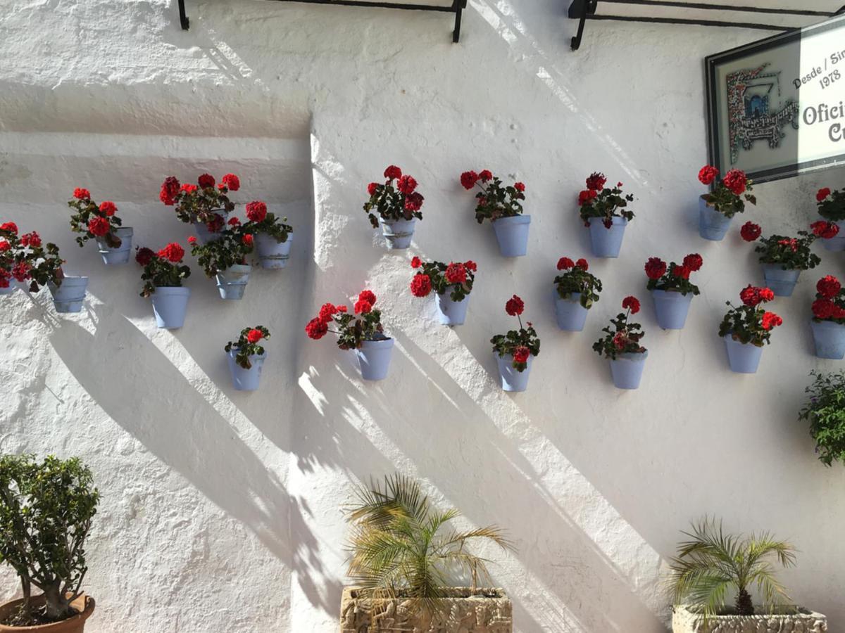 Paris Dream - Torremolinos Daire Dış mekan fotoğraf